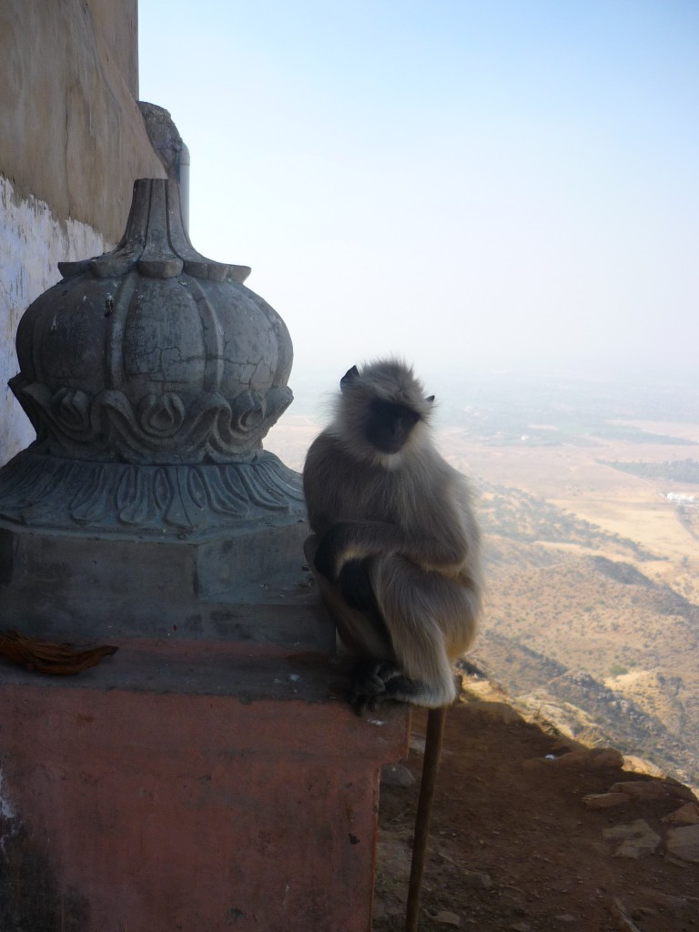 Café y té en Pushkar, India