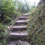 Creo que es por aquí - Whang Od me espera