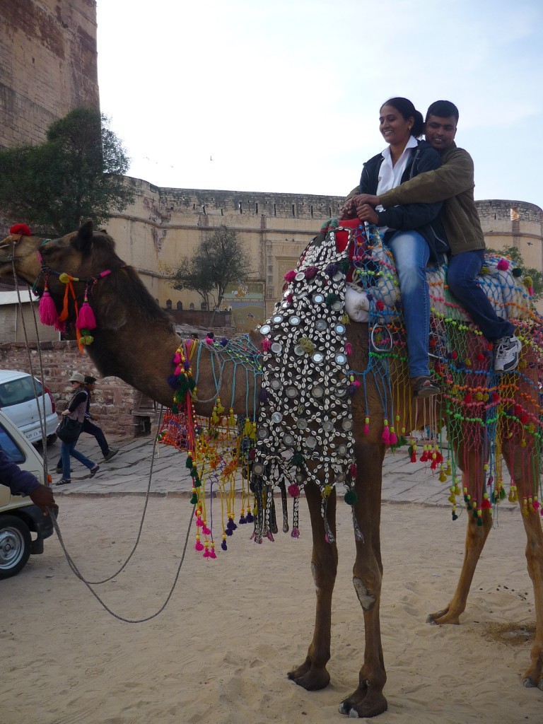 Travel to Jaipur in India