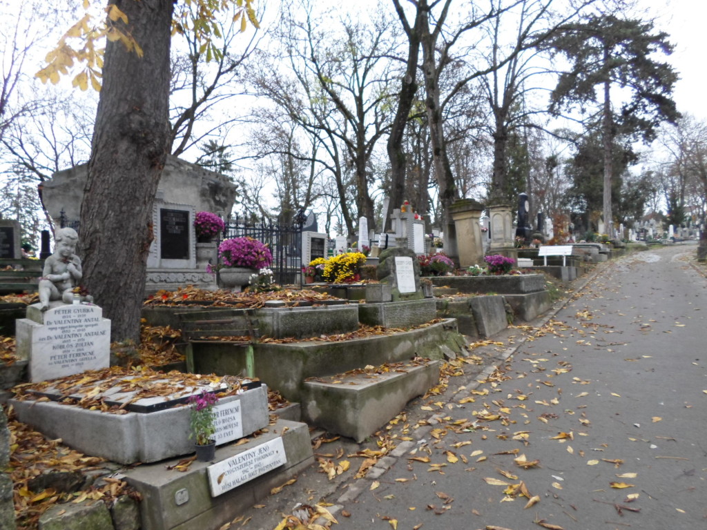 Cementerio central de Cluj