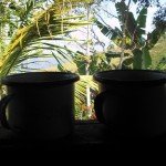 Del caos a la sencillez: voluntariado en una granja cafetera