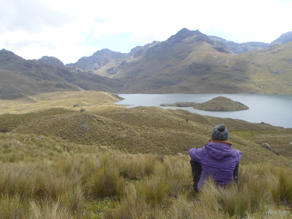 Ir a el Parque Nacional el Cajas